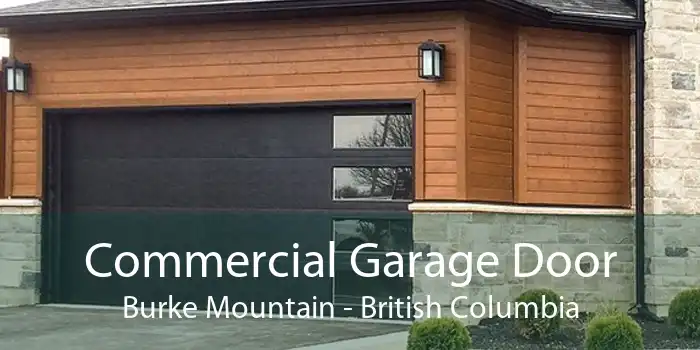 Commercial Garage Door Burke Mountain - British Columbia