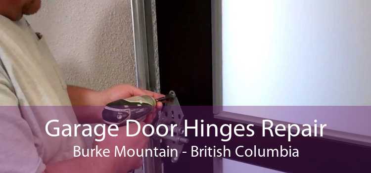 Garage Door Hinges Repair Burke Mountain - British Columbia