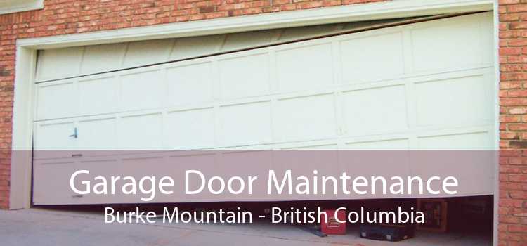 Garage Door Maintenance Burke Mountain - British Columbia