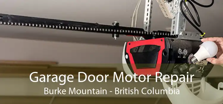 Garage Door Motor Repair Burke Mountain - British Columbia