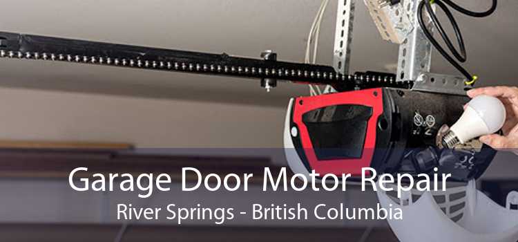 Garage Door Motor Repair River Springs - British Columbia