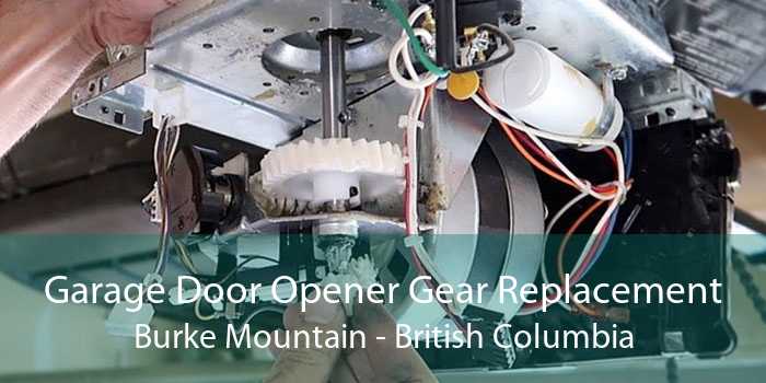 Garage Door Opener Gear Replacement Burke Mountain - British Columbia