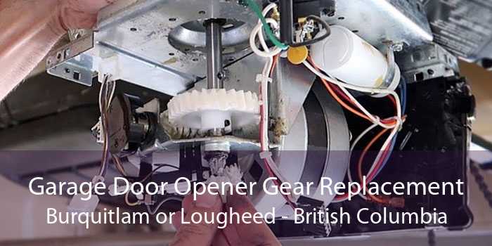Garage Door Opener Gear Replacement Burquitlam or Lougheed - British Columbia