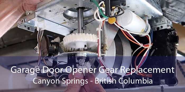 Garage Door Opener Gear Replacement Canyon Springs - British Columbia