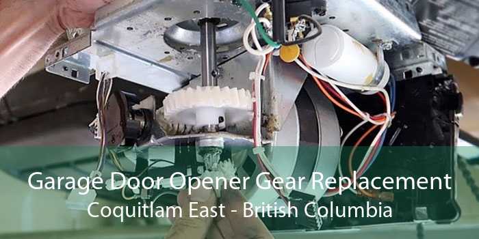 Garage Door Opener Gear Replacement Coquitlam East - British Columbia