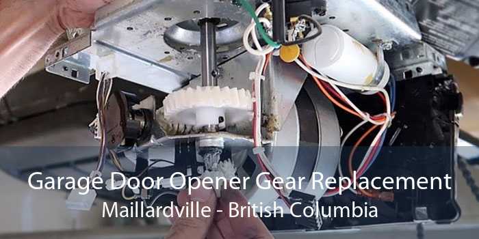 Garage Door Opener Gear Replacement Maillardville - British Columbia