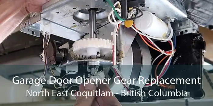Garage Door Opener Gear Replacement North East Coquitlam - British Columbia