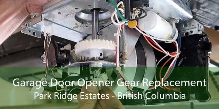 Garage Door Opener Gear Replacement Park Ridge Estates - British Columbia