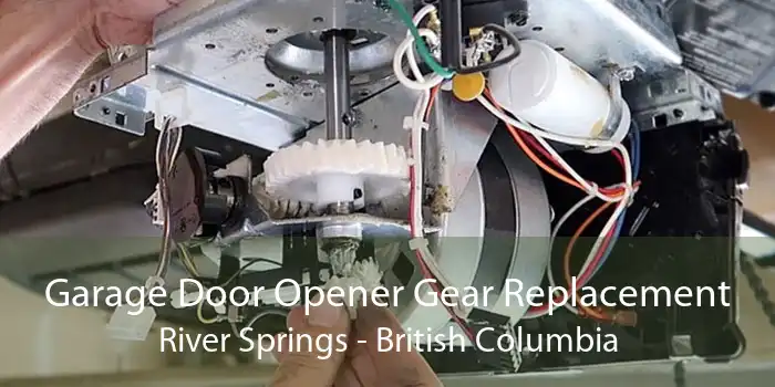 Garage Door Opener Gear Replacement River Springs - British Columbia