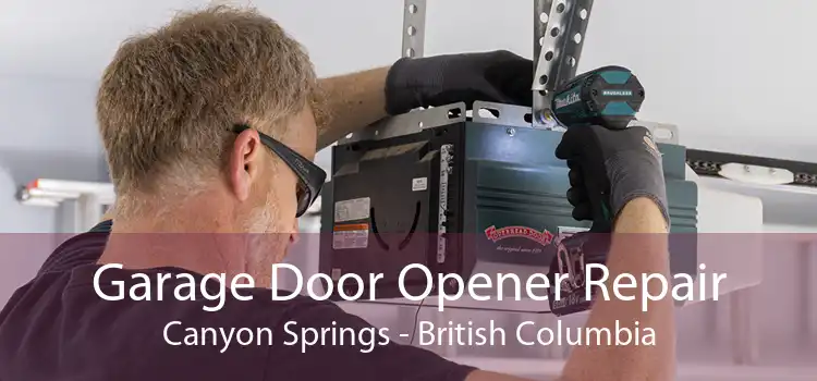 Garage Door Opener Repair Canyon Springs - British Columbia