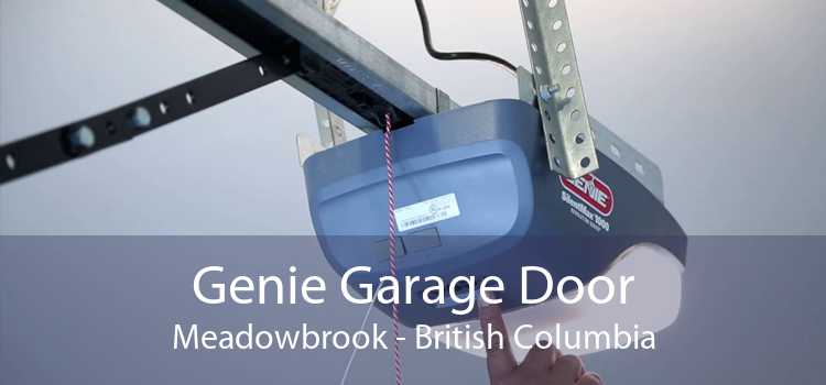 Genie Garage Door Meadowbrook - British Columbia