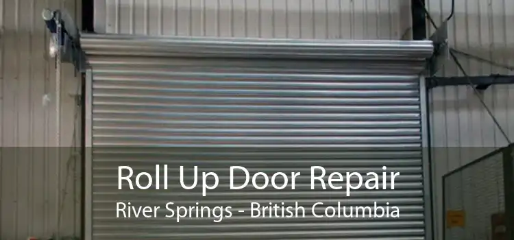 Roll Up Door Repair River Springs - British Columbia