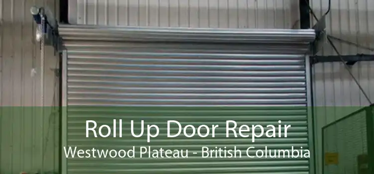 Roll Up Door Repair Westwood Plateau - British Columbia