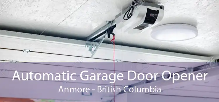 Automatic Garage Door Opener Anmore - British Columbia