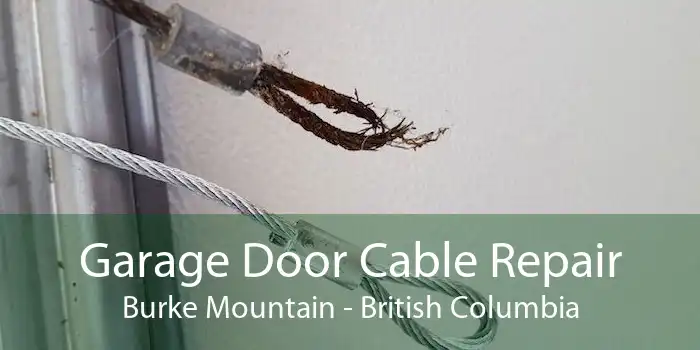 Garage Door Cable Repair Burke Mountain - British Columbia