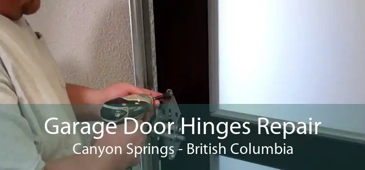 Garage Door Hinges Repair Canyon Springs - British Columbia