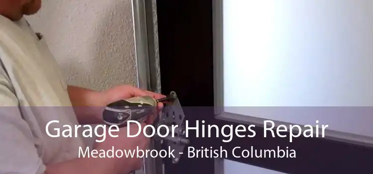 Garage Door Hinges Repair Meadowbrook - British Columbia