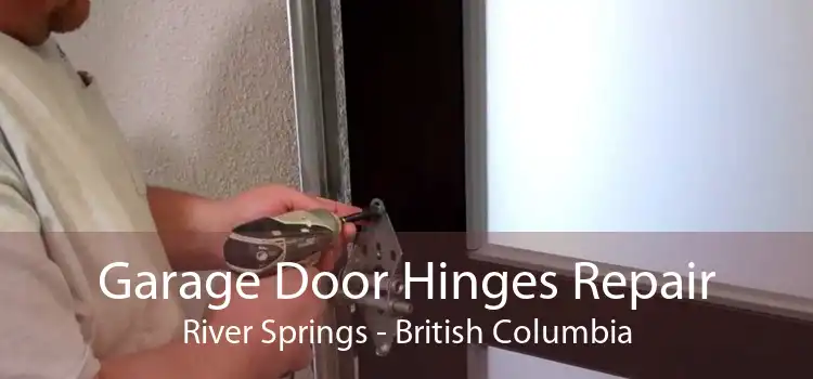 Garage Door Hinges Repair River Springs - British Columbia