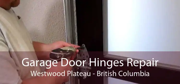 Garage Door Hinges Repair Westwood Plateau - British Columbia