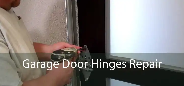 Garage Door Hinges Repair 