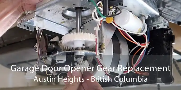 Garage Door Opener Gear Replacement Austin Heights - British Columbia