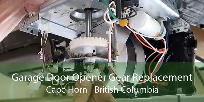Garage Door Opener Gear Replacement Cape Horn - British Columbia