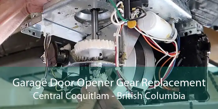 Garage Door Opener Gear Replacement Central Coquitlam - British Columbia
