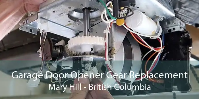 Garage Door Opener Gear Replacement Mary Hill - British Columbia