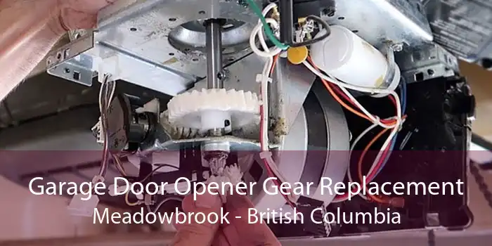Garage Door Opener Gear Replacement Meadowbrook - British Columbia