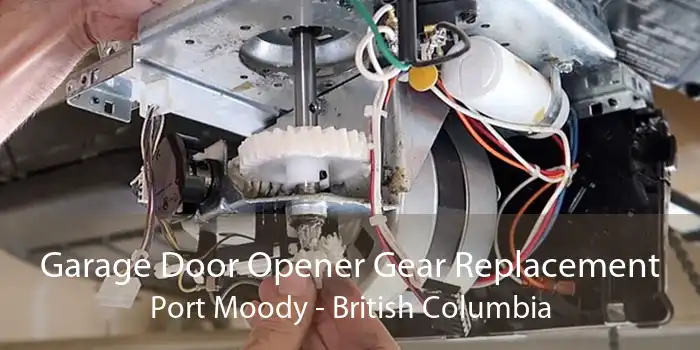 Garage Door Opener Gear Replacement Port Moody - British Columbia