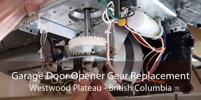 Garage Door Opener Gear Replacement Westwood Plateau - British Columbia