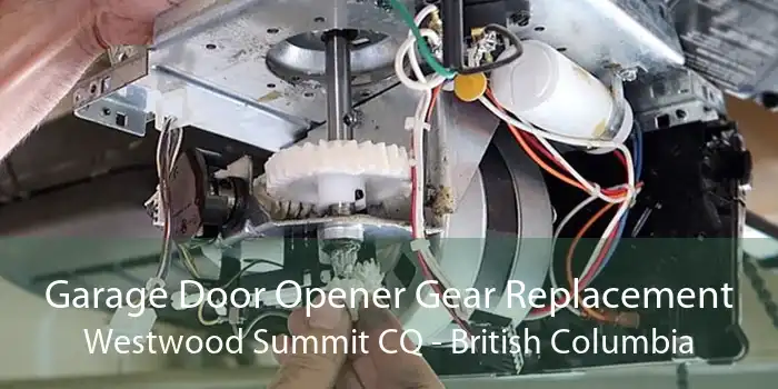 Garage Door Opener Gear Replacement Westwood Summit CQ - British Columbia
