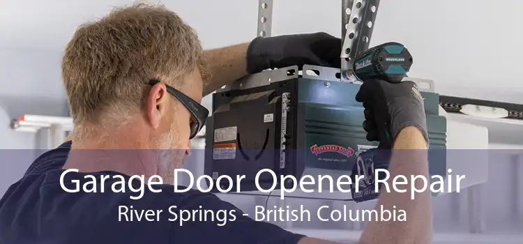 Garage Door Opener Repair River Springs - British Columbia
