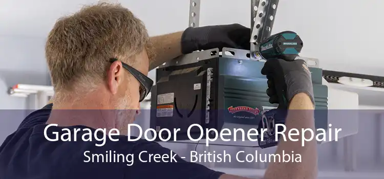 Garage Door Opener Repair Smiling Creek - British Columbia