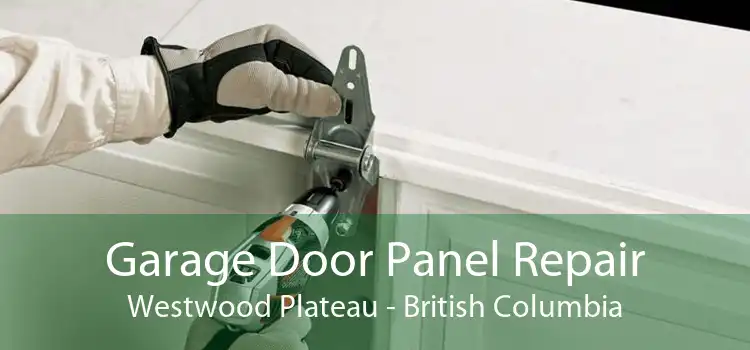 Garage Door Panel Repair Westwood Plateau - British Columbia