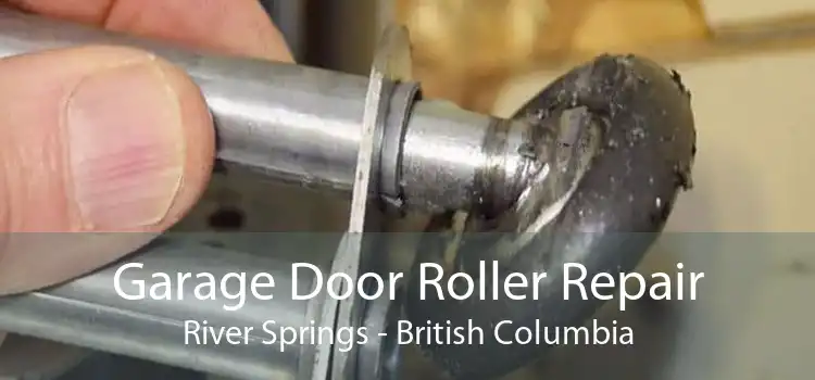 Garage Door Roller Repair River Springs - British Columbia
