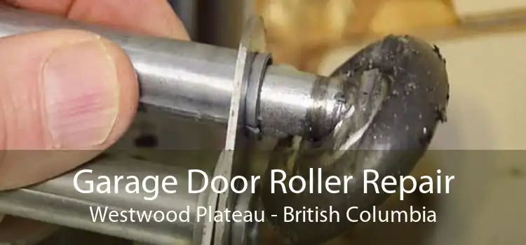 Garage Door Roller Repair Westwood Plateau - British Columbia