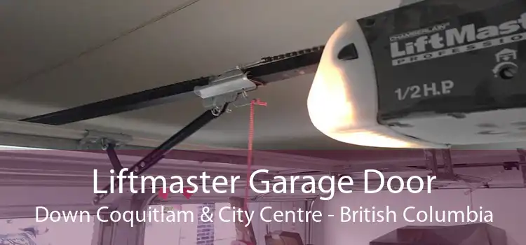 Liftmaster Garage Door Down Coquitlam & City Centre - British Columbia