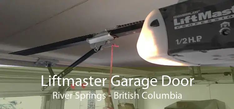 Liftmaster Garage Door River Springs - British Columbia