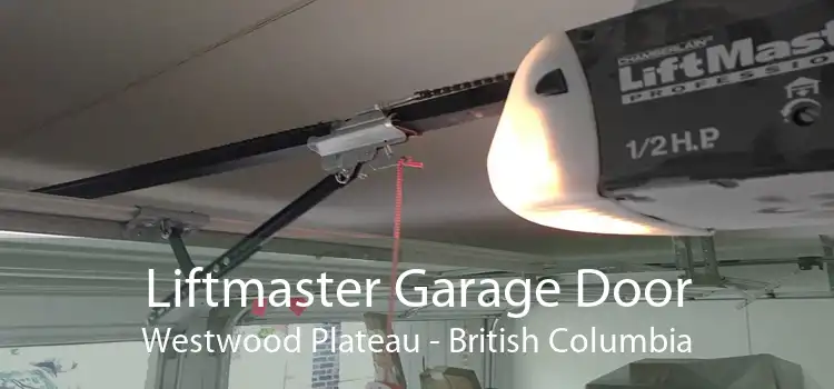 Liftmaster Garage Door Westwood Plateau - British Columbia